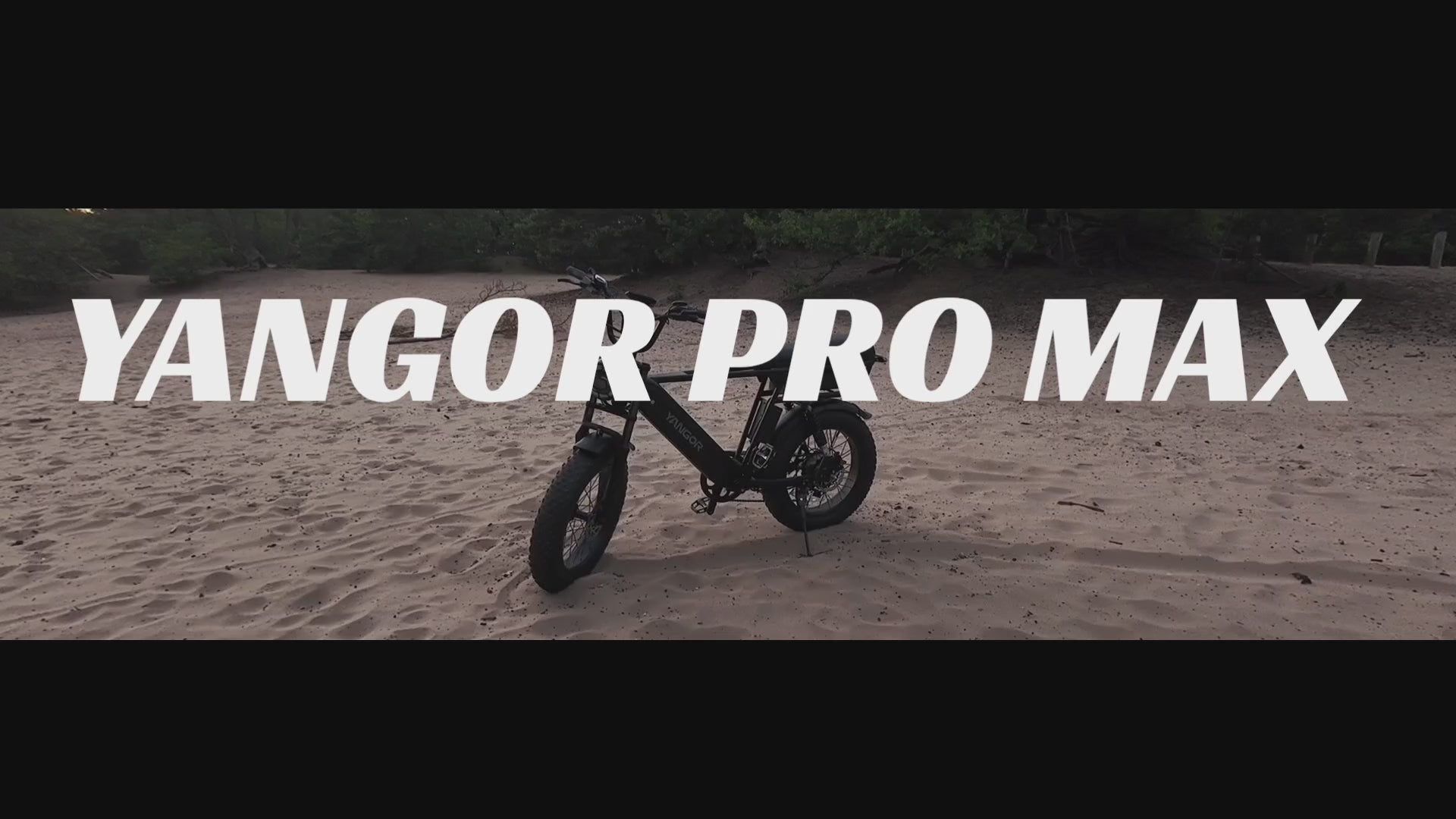 Yangor Pro Max Fat Bike – Dubbele Batterij | 210 km Bereik